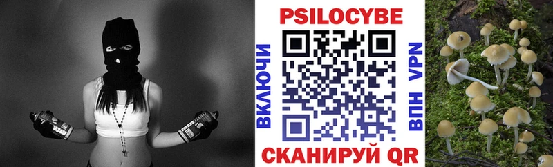 закладки Кизляр Галлюциногенные грибы Psilocybe